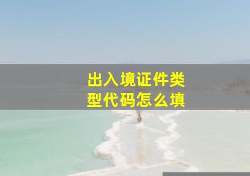 出入境证件类型代码怎么填