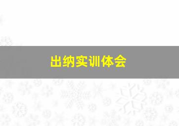 出纳实训体会