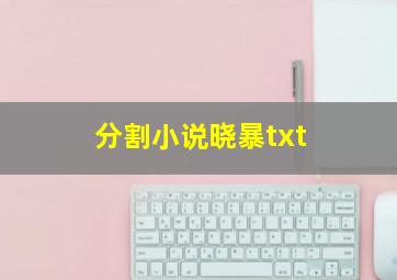 分割小说晓暴txt