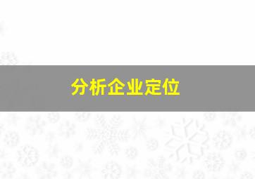 分析企业定位