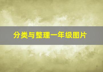 分类与整理一年级图片