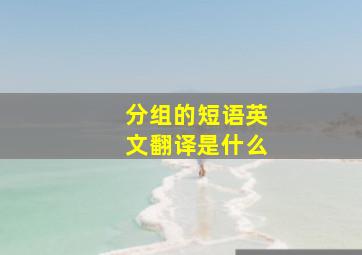 分组的短语英文翻译是什么