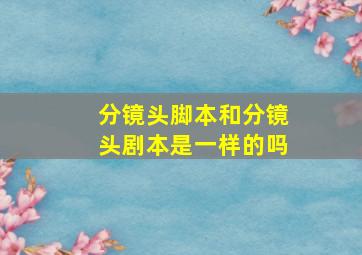 分镜头脚本和分镜头剧本是一样的吗