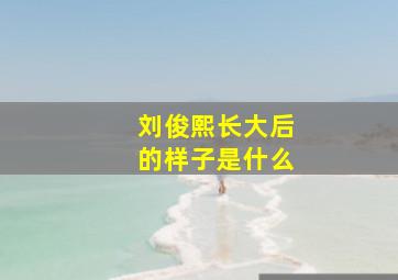 刘俊熙长大后的样子是什么