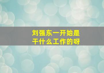 刘强东一开始是干什么工作的呀