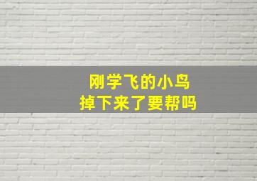 刚学飞的小鸟掉下来了要帮吗