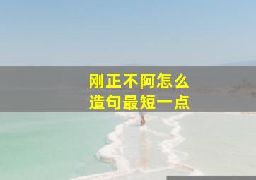 刚正不阿怎么造句最短一点