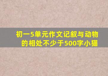 初一5单元作文记叙与动物的相处不少于500字小猫