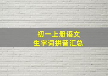 初一上册语文生字词拼音汇总