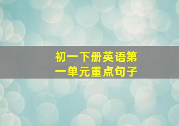 初一下册英语第一单元重点句子