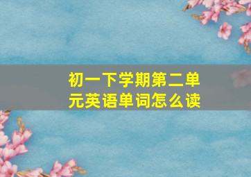 初一下学期第二单元英语单词怎么读