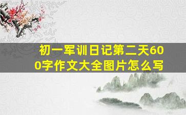 初一军训日记第二天600字作文大全图片怎么写