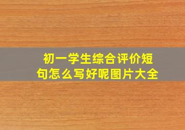 初一学生综合评价短句怎么写好呢图片大全