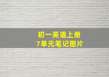 初一英语上册7单元笔记图片