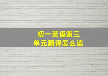 初一英语第三单元翻译怎么读