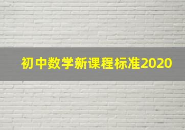 初中数学新课程标准2020