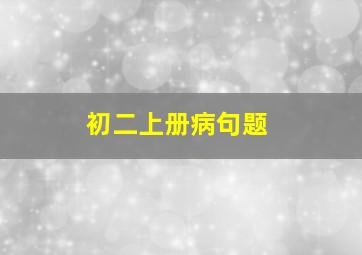 初二上册病句题