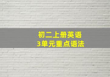 初二上册英语3单元重点语法