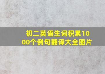 初二英语生词积累1000个例句翻译大全图片