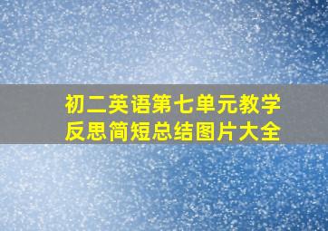 初二英语第七单元教学反思简短总结图片大全