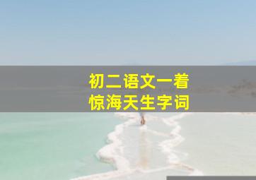 初二语文一着惊海天生字词