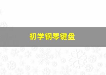 初学钢琴键盘