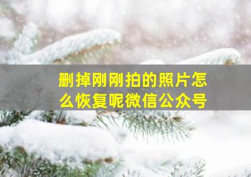 删掉刚刚拍的照片怎么恢复呢微信公众号