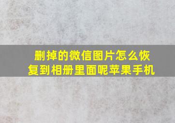 删掉的微信图片怎么恢复到相册里面呢苹果手机