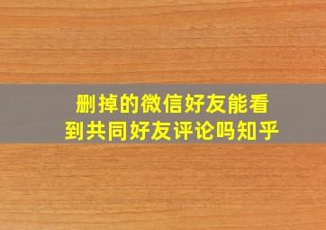 删掉的微信好友能看到共同好友评论吗知乎