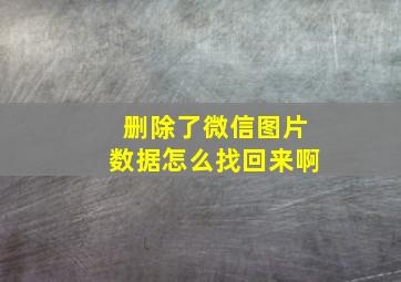 删除了微信图片数据怎么找回来啊