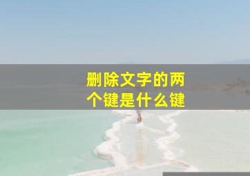 删除文字的两个键是什么键