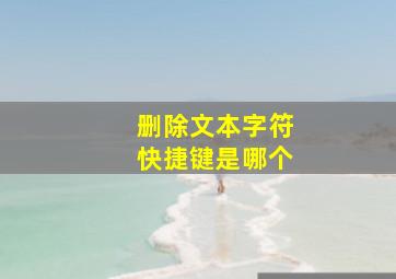 删除文本字符快捷键是哪个