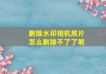 删除水印相机照片怎么删除不了了呢