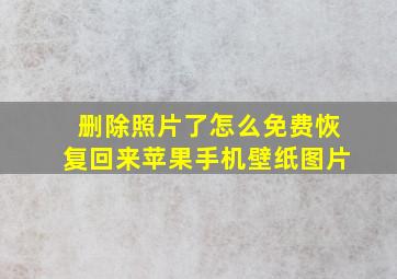 删除照片了怎么免费恢复回来苹果手机壁纸图片