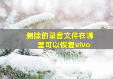 删除的录音文件在哪里可以恢复vivo