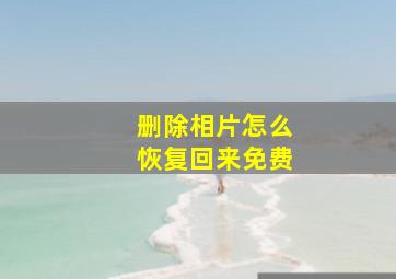 删除相片怎么恢复回来免费