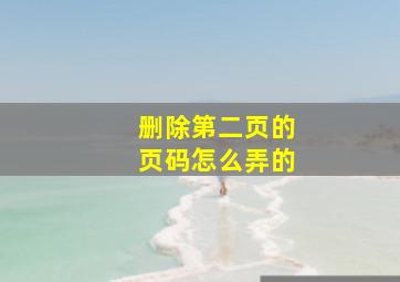 删除第二页的页码怎么弄的