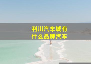 利川汽车城有什么品牌汽车