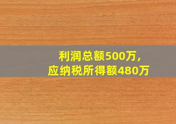 利润总额500万,应纳税所得额480万