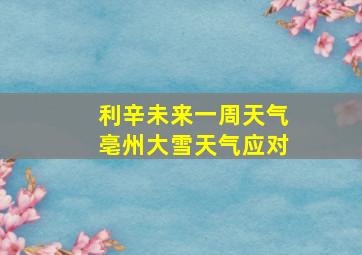 利辛未来一周天气亳州大雪天气应对