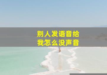 别人发语音给我怎么没声音