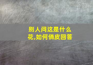 别人问这是什么花,如何俏皮回答