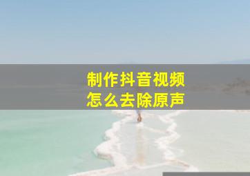 制作抖音视频怎么去除原声