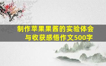 制作苹果果酱的实验体会与收获感悟作文500字