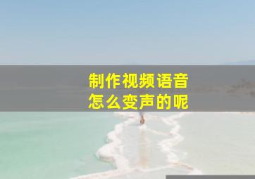 制作视频语音怎么变声的呢