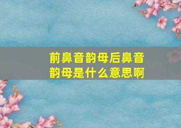 前鼻音韵母后鼻音韵母是什么意思啊