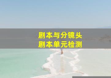 剧本与分镜头剧本单元检测