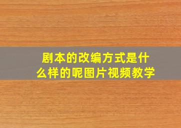 剧本的改编方式是什么样的呢图片视频教学