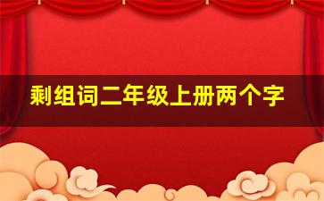 剩组词二年级上册两个字