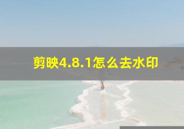 剪映4.8.1怎么去水印